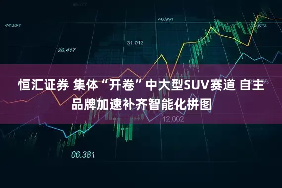 恒汇证券 集体“开卷”中大型SUV赛道 自主品牌加速补齐智能化拼图