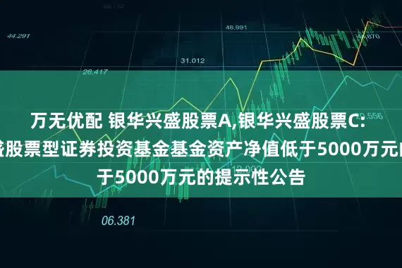 万无优配 银华兴盛股票A,银华兴盛股票C: 关于银华兴盛股票型证券投资基金基金资产净值低于5000万元的提示性公告